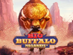 game logo by Skywind Group on whamoocasinoo.com