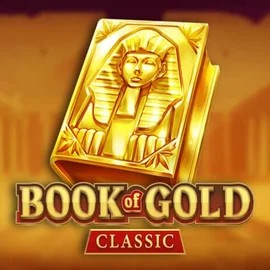 game logo by Playson on whamoocasinoo.com