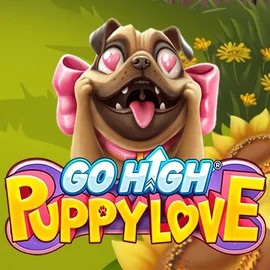 game logo by RubyPlay on whamoocasinoo.com